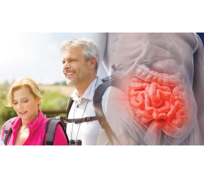 Bridging the Fiber Gap